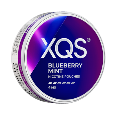 XQS Blueberry Mint 4mg dosa