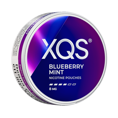 XQS Blueberry Mint dosa